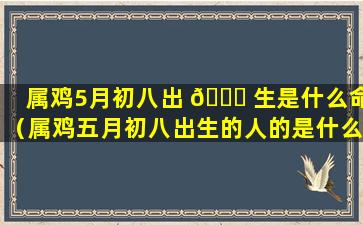 属鸡5月初八出 🐟 生是什么命（属鸡五月初八出生的人的是什么命）